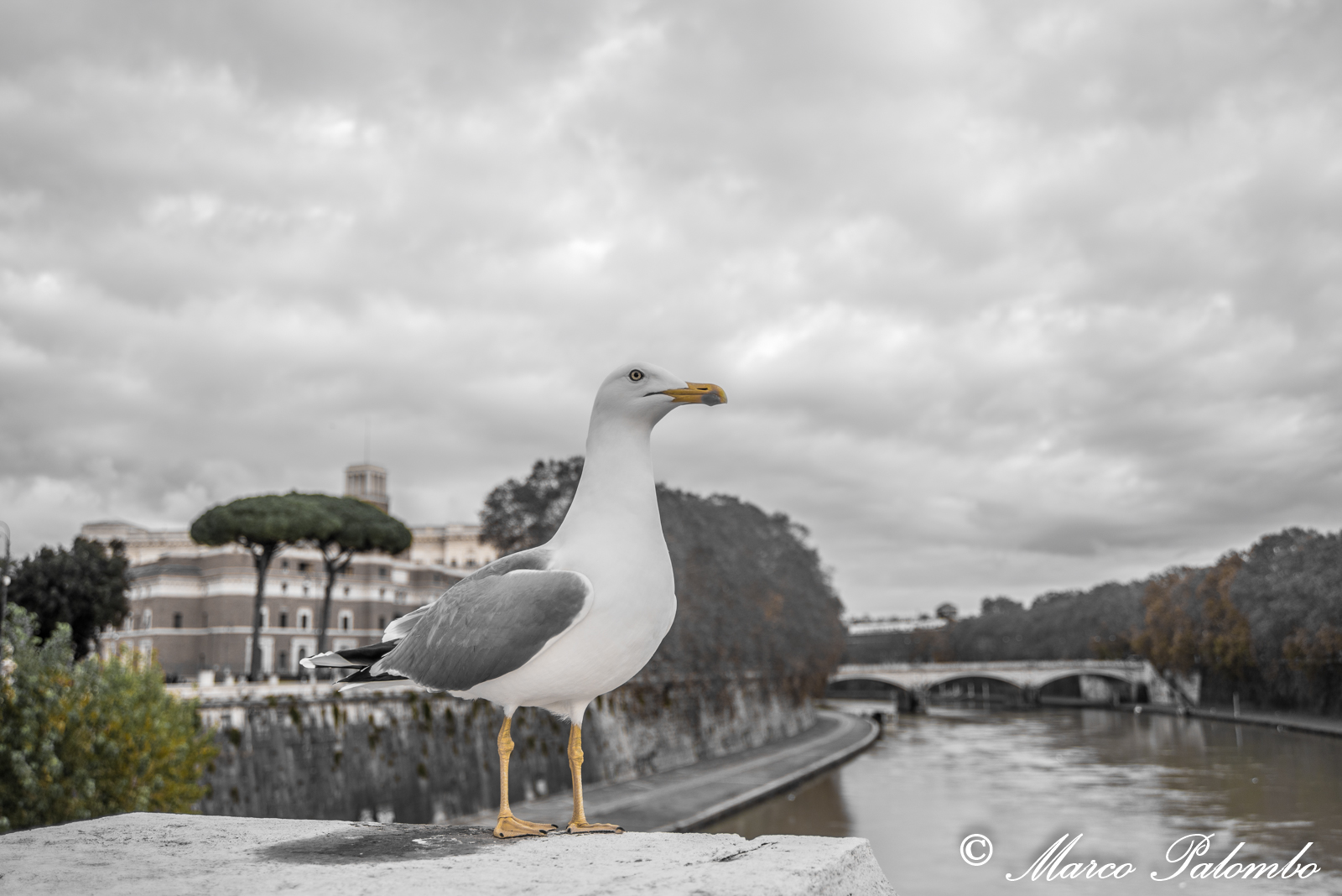 La solitudine che spaventa …